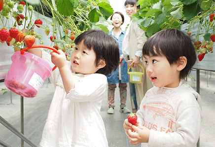 写真：いちご保育園祇園